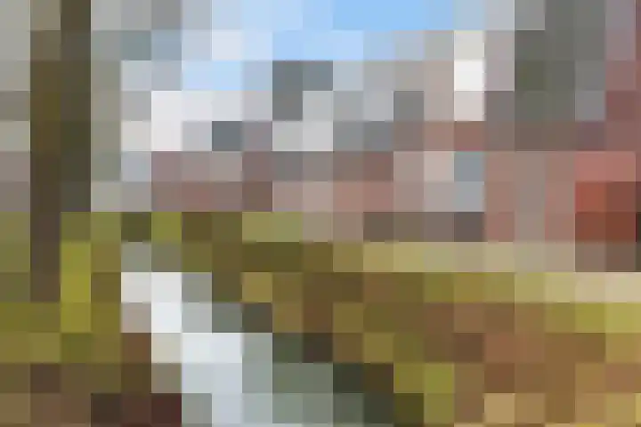 Kerkebogerd 9 Tull en 't Waal thumbnail 25