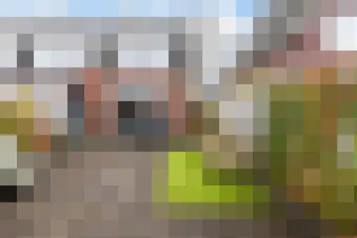 Kerkebogerd 9 Tull en 't Waal thumbnail 4