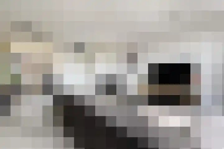 Kerkebogerd 9 Tull en 't Waal thumbnail 7