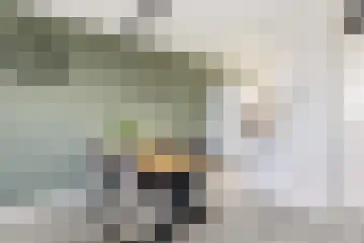 Kerkebogerd 9 Tull en 't Waal thumbnail 8