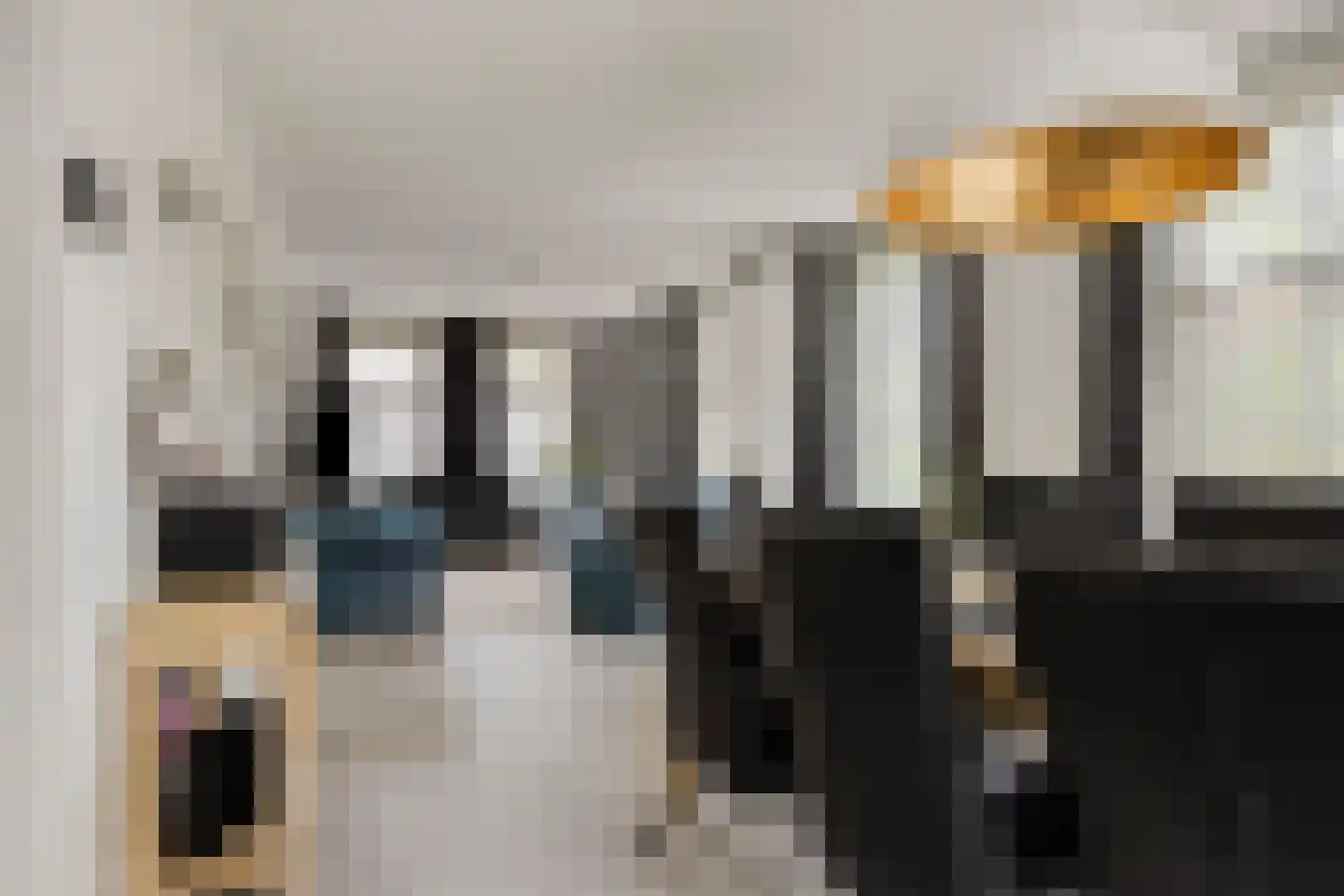 Kerkebosdreef 1 's Gravenmoer thumbnail 16