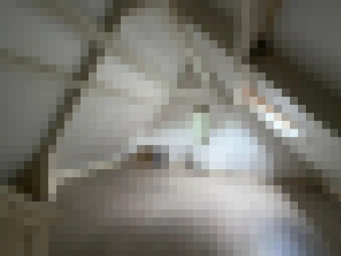 Kerkebosdreef 1 's Gravenmoer thumbnail 34
