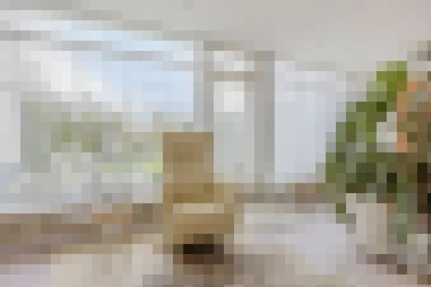 Kerkebosdreef 53 's Gravenmoer thumbnail 10