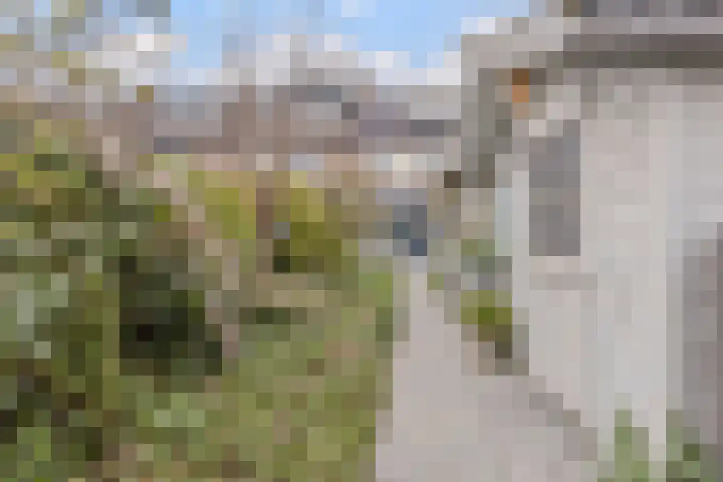 Kerkebosdreef 53 's Gravenmoer thumbnail 16