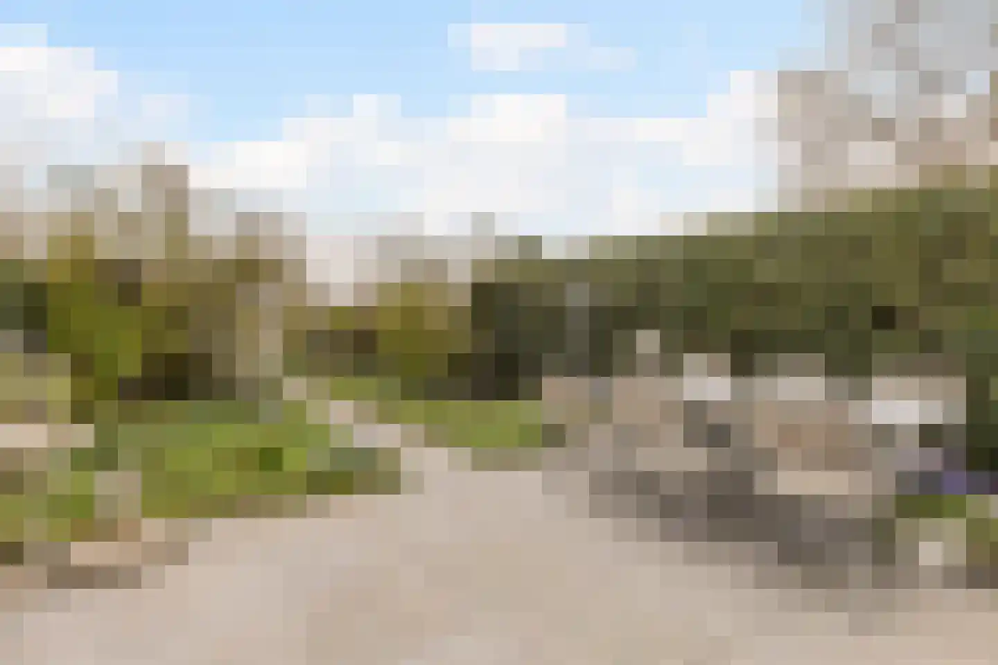 Kerkebosdreef 53 's Gravenmoer thumbnail 17