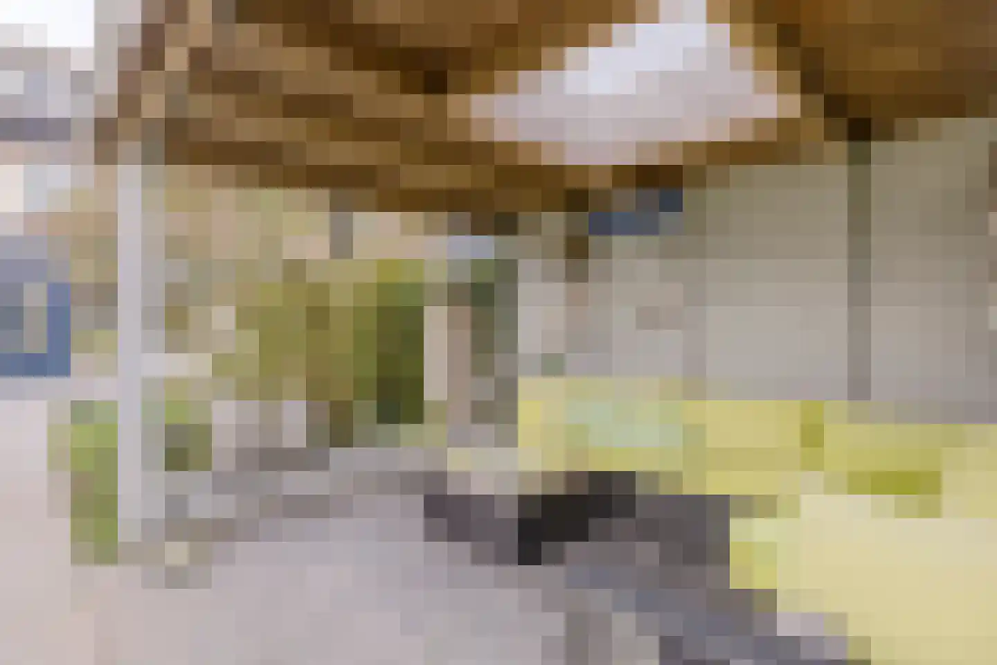 Kerkebosdreef 53 's Gravenmoer thumbnail 18