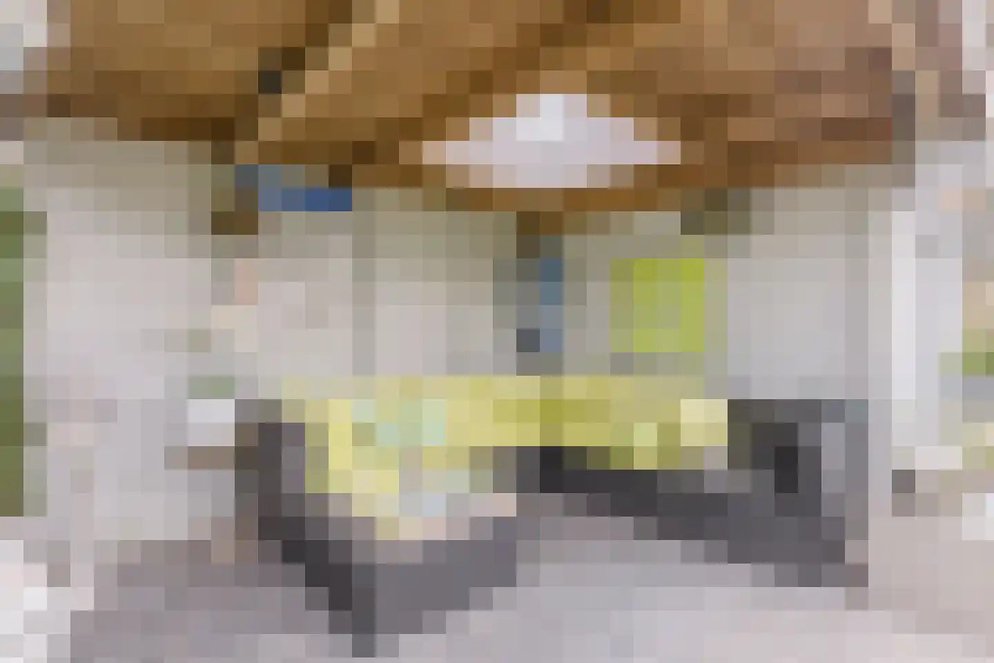 Kerkebosdreef 53 's Gravenmoer thumbnail 20