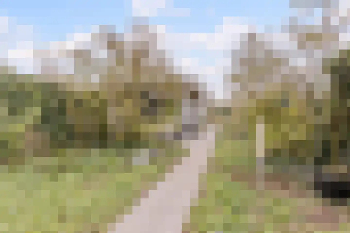 Kerkebosdreef 53 's Gravenmoer thumbnail 21