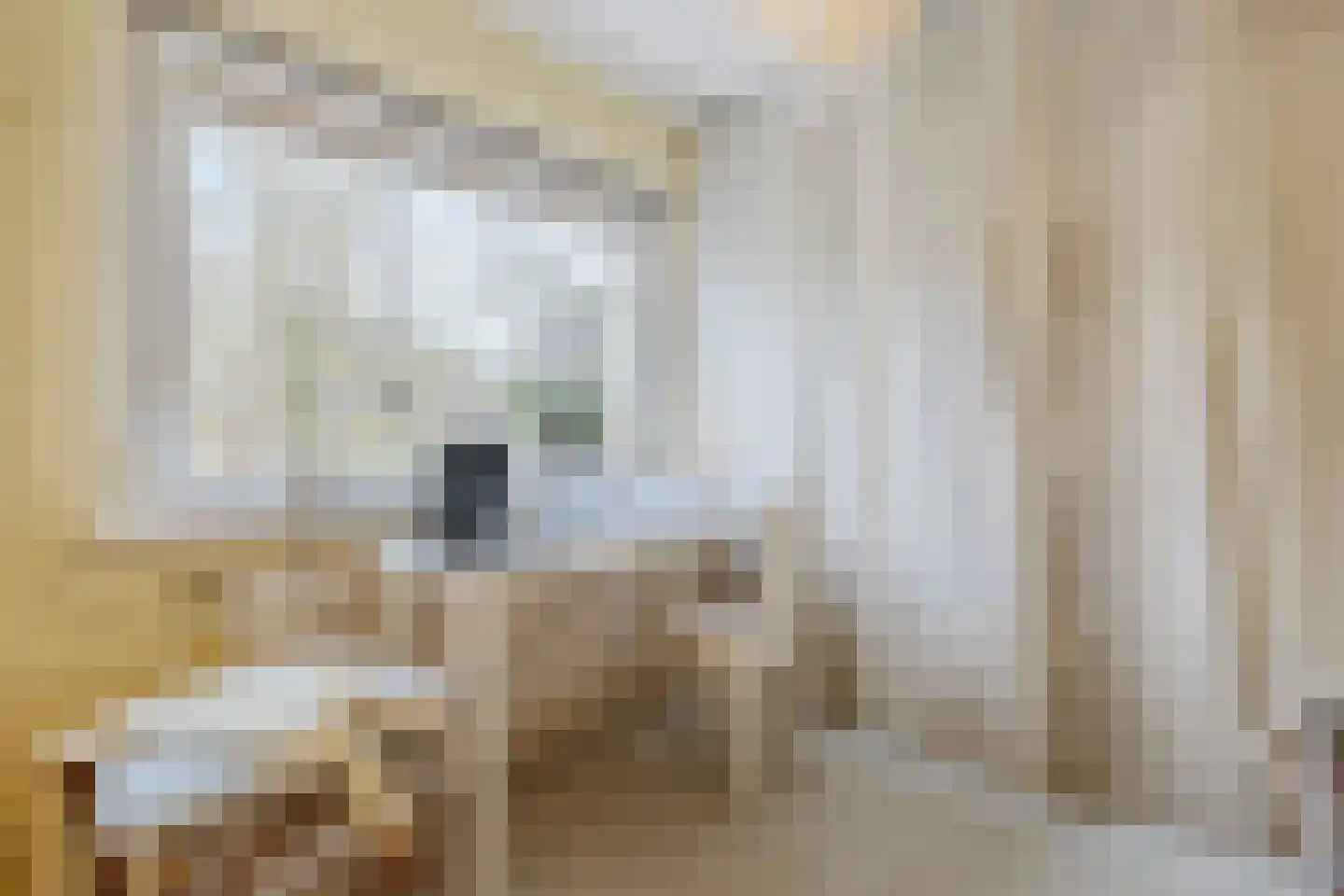 Kerkebosdreef 53 's Gravenmoer thumbnail 24