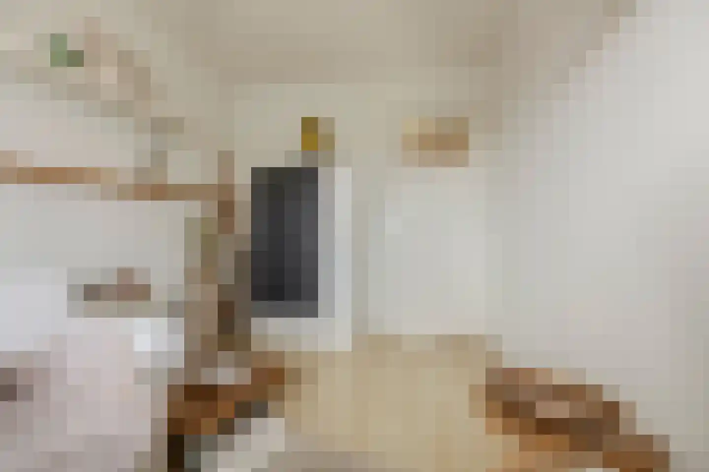 Kerkebosdreef 53 's Gravenmoer thumbnail 25
