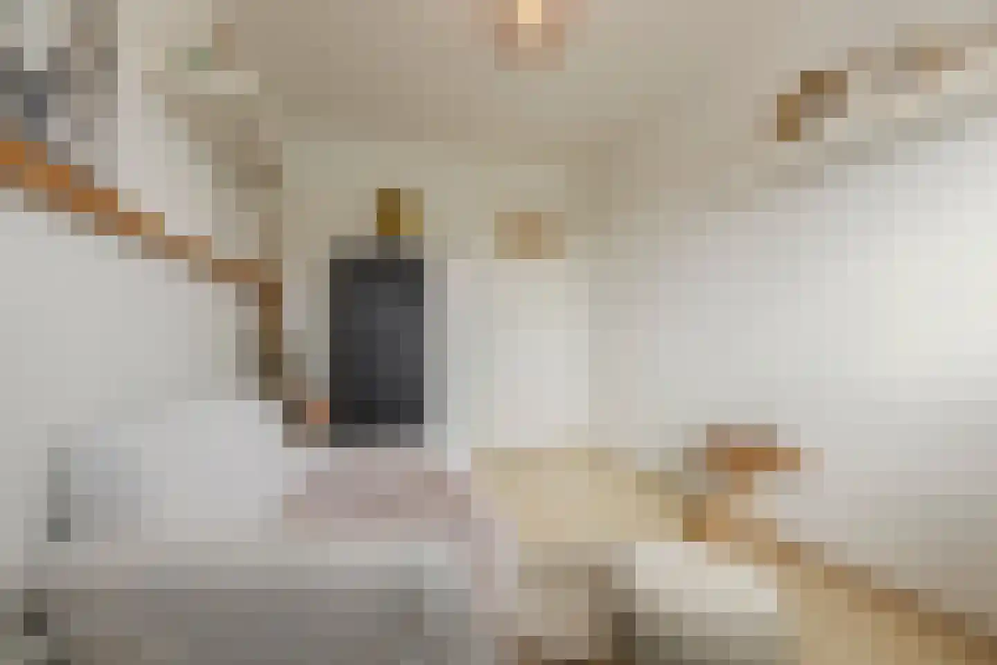 Kerkebosdreef 53 's Gravenmoer thumbnail 26