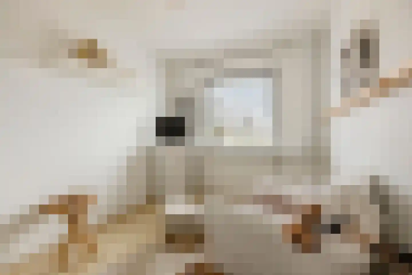 Kerkebosdreef 53 's Gravenmoer thumbnail 27