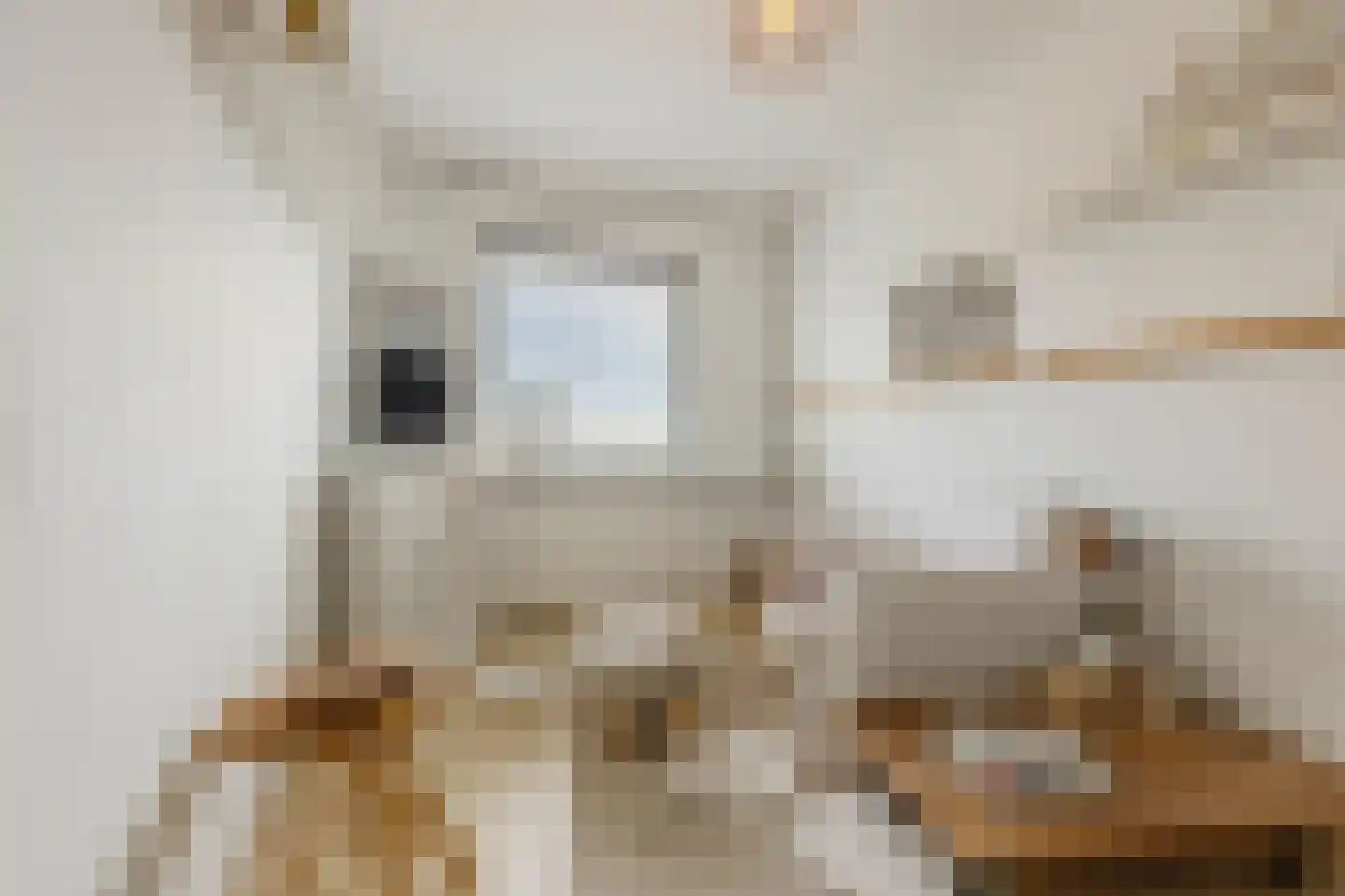 Kerkebosdreef 53 's Gravenmoer thumbnail 28