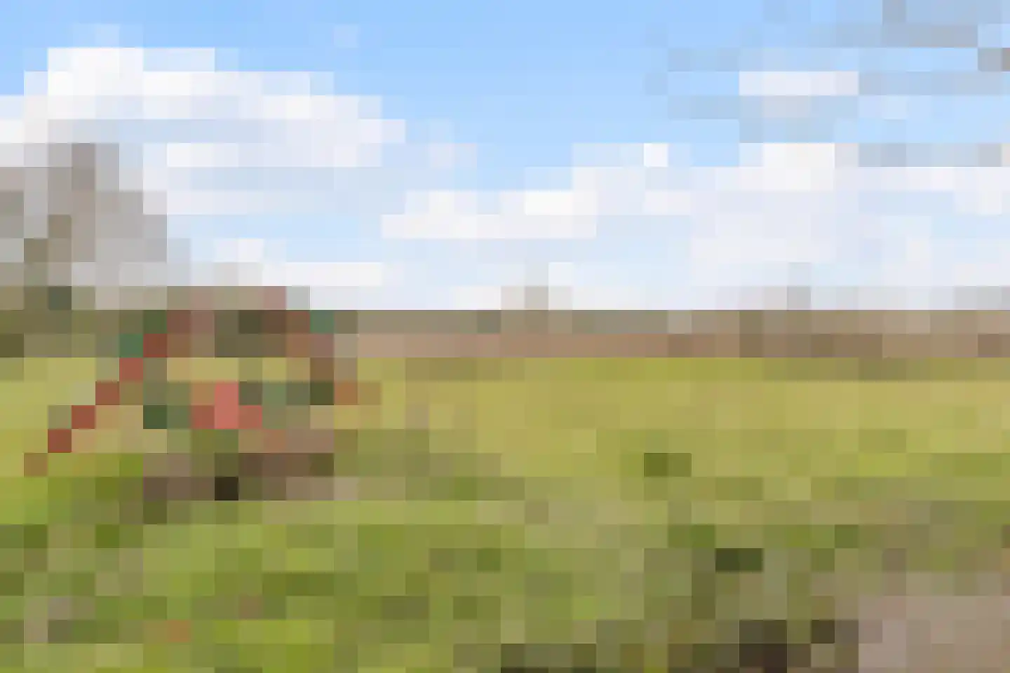 Kerkebosdreef 53 's Gravenmoer thumbnail 43