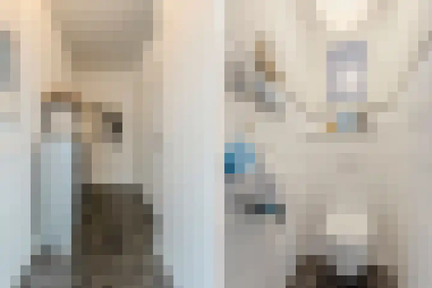 Kerkebosdreef 53 's Gravenmoer thumbnail 6