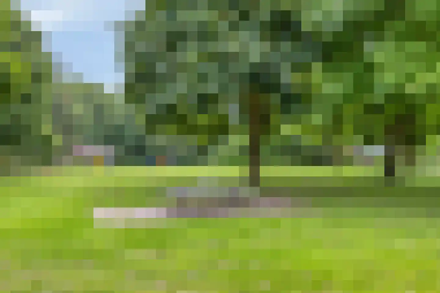 Kerkebroekweg 19 Swalmen thumbnail 35