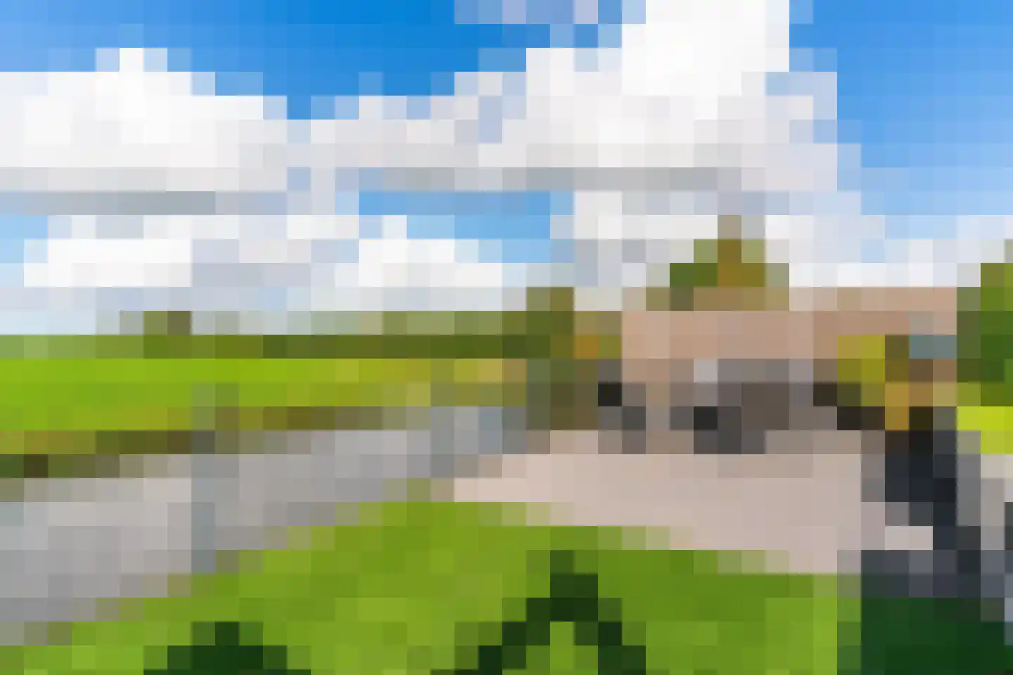 Kerkebuurt 187 Berkhout thumbnail 44