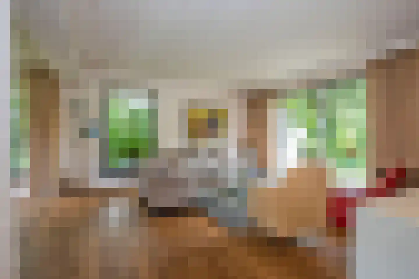 Kerkedennen 18 Borne thumbnail 17