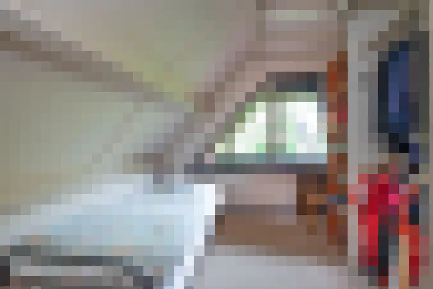Kerkedennen 18 Borne thumbnail 33