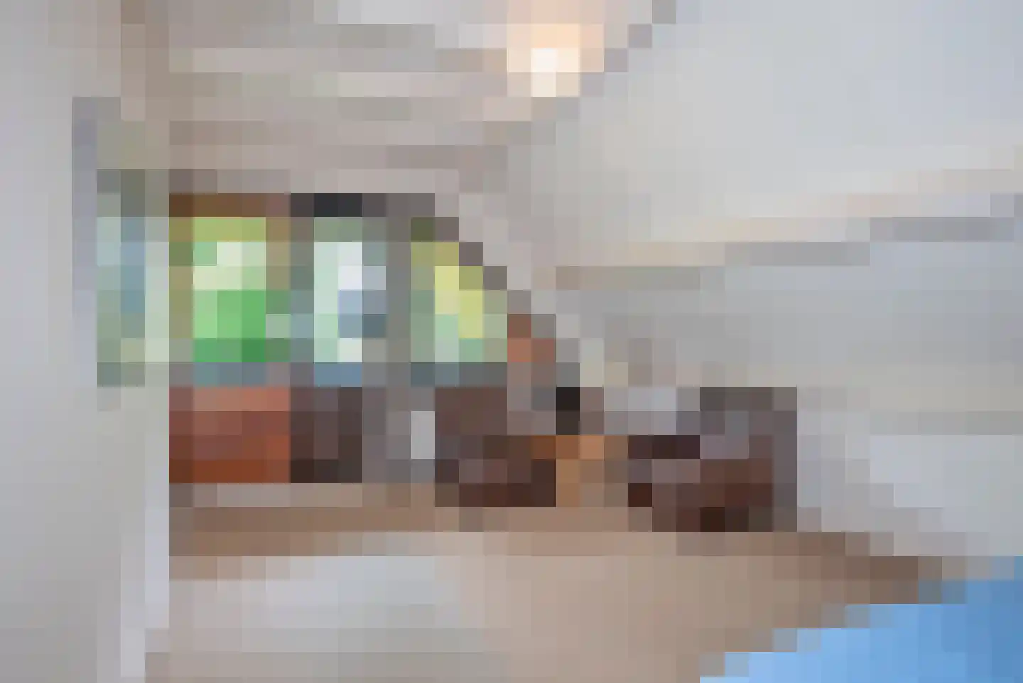 Kerkedennen 18 Borne thumbnail 34