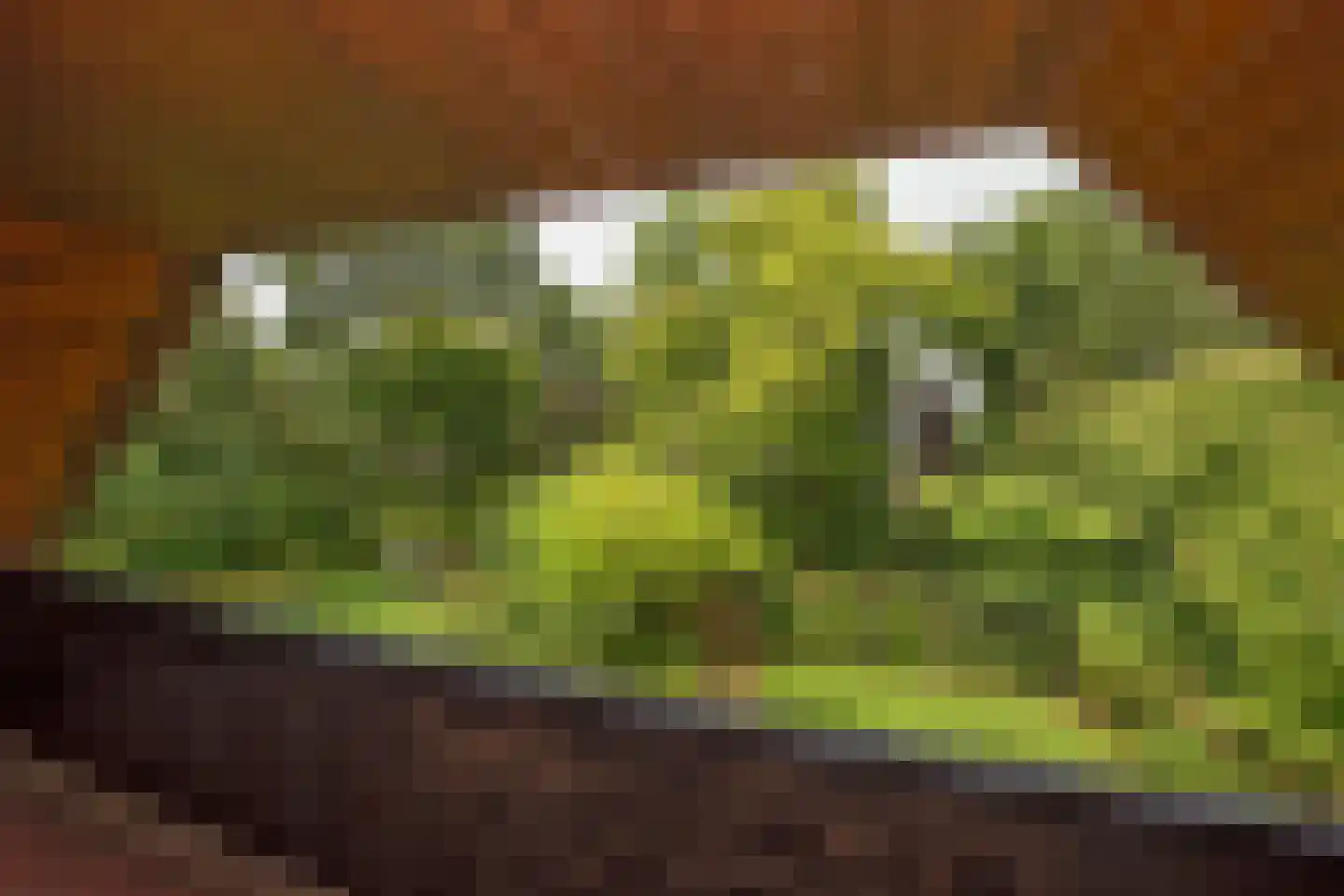 Kerkedennen 18 Borne thumbnail 35