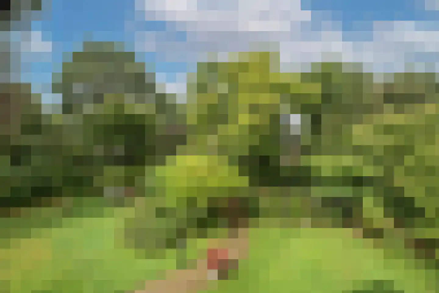 Kerkedennen 18 Borne thumbnail 4
