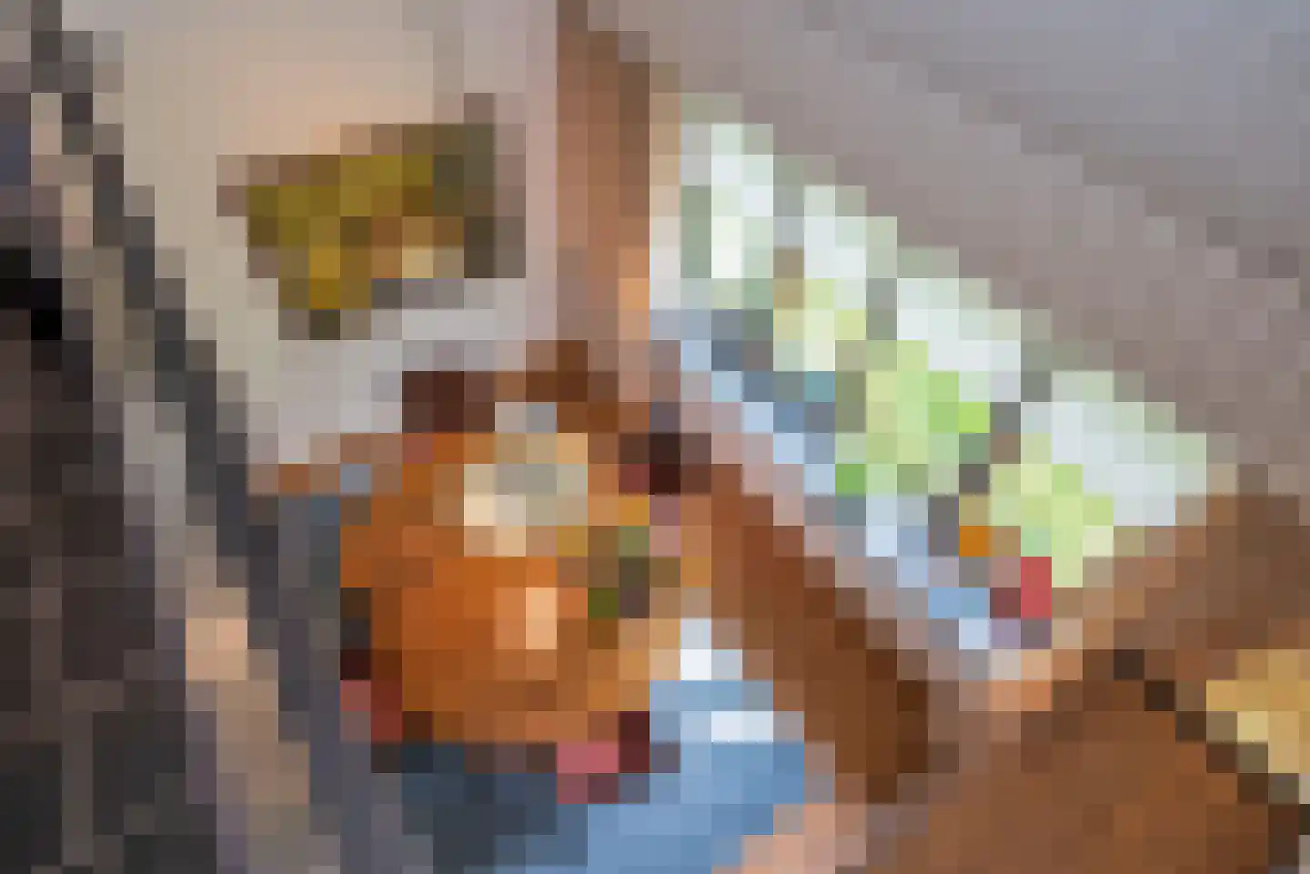 Kerkedennen 18 Borne thumbnail 42
