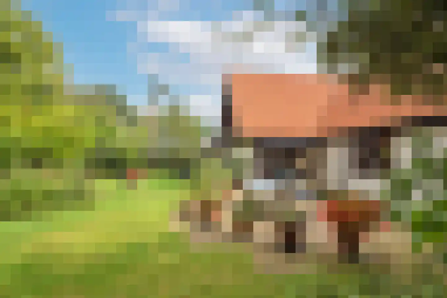 Kerkedennen 18 Borne thumbnail 44