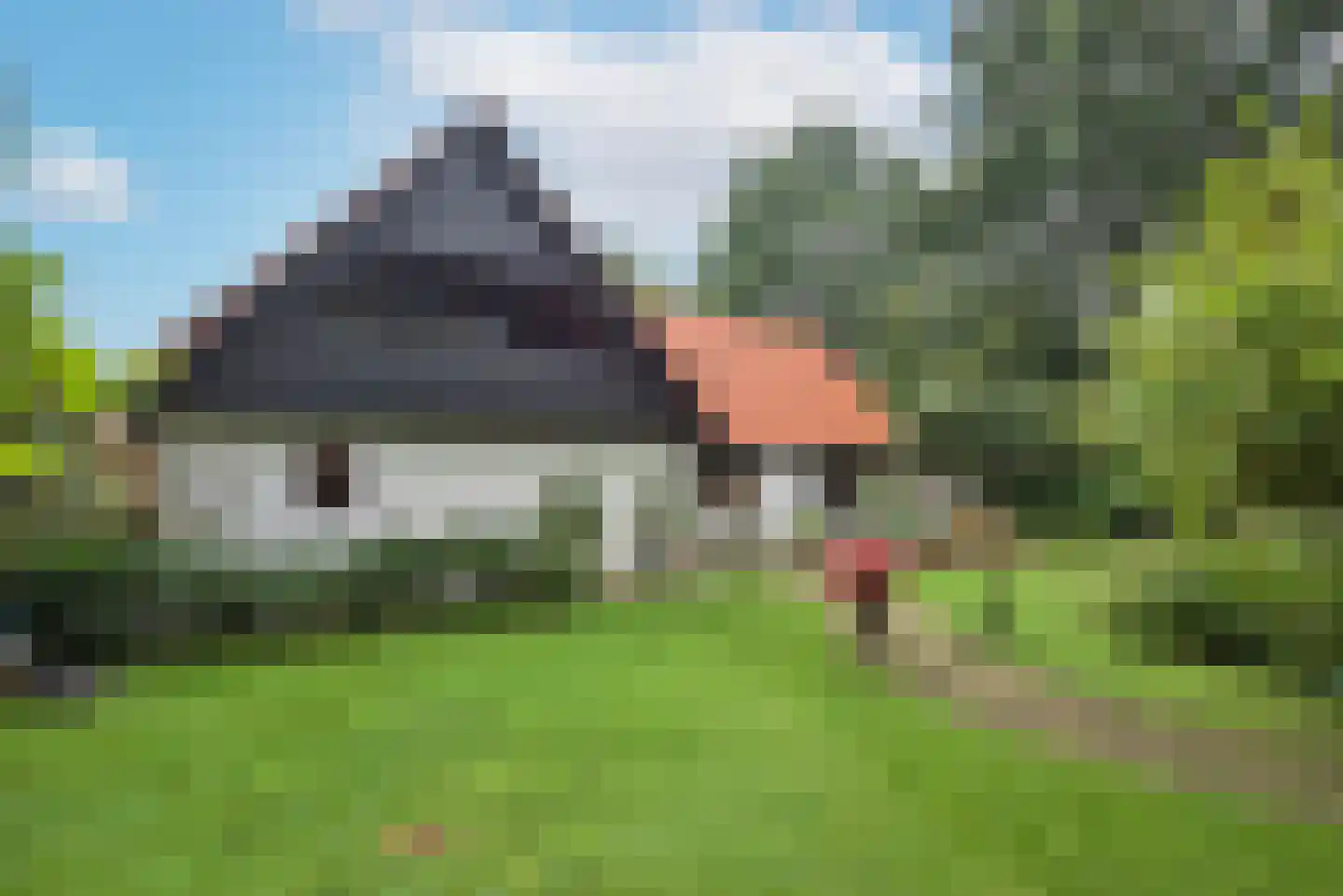 Kerkedennen 18 Borne thumbnail 45