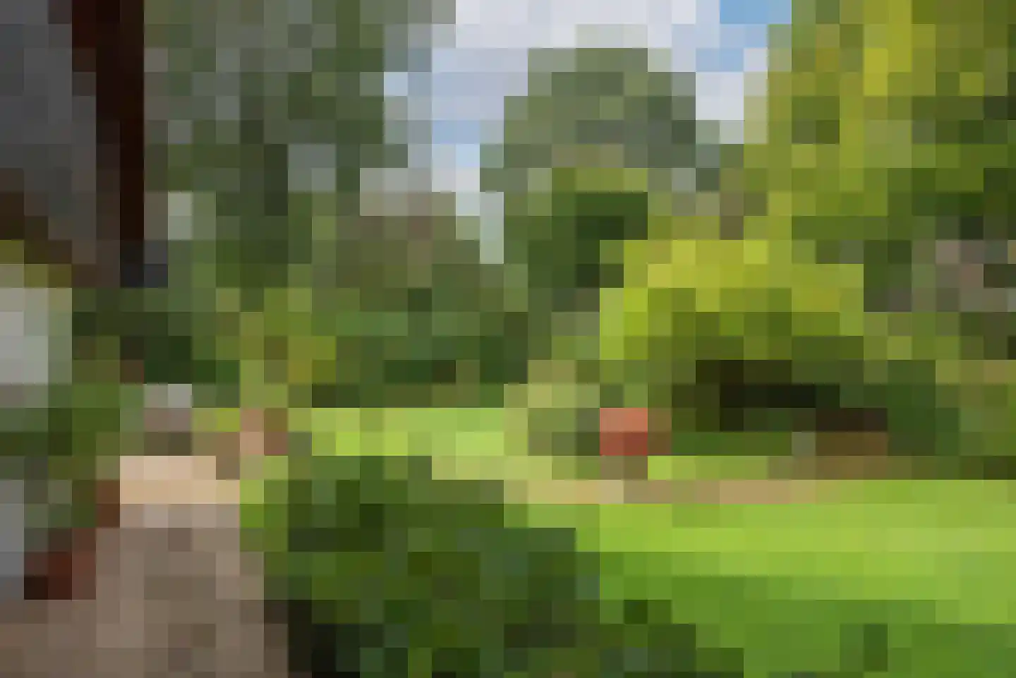 Kerkedennen 18 Borne thumbnail 46