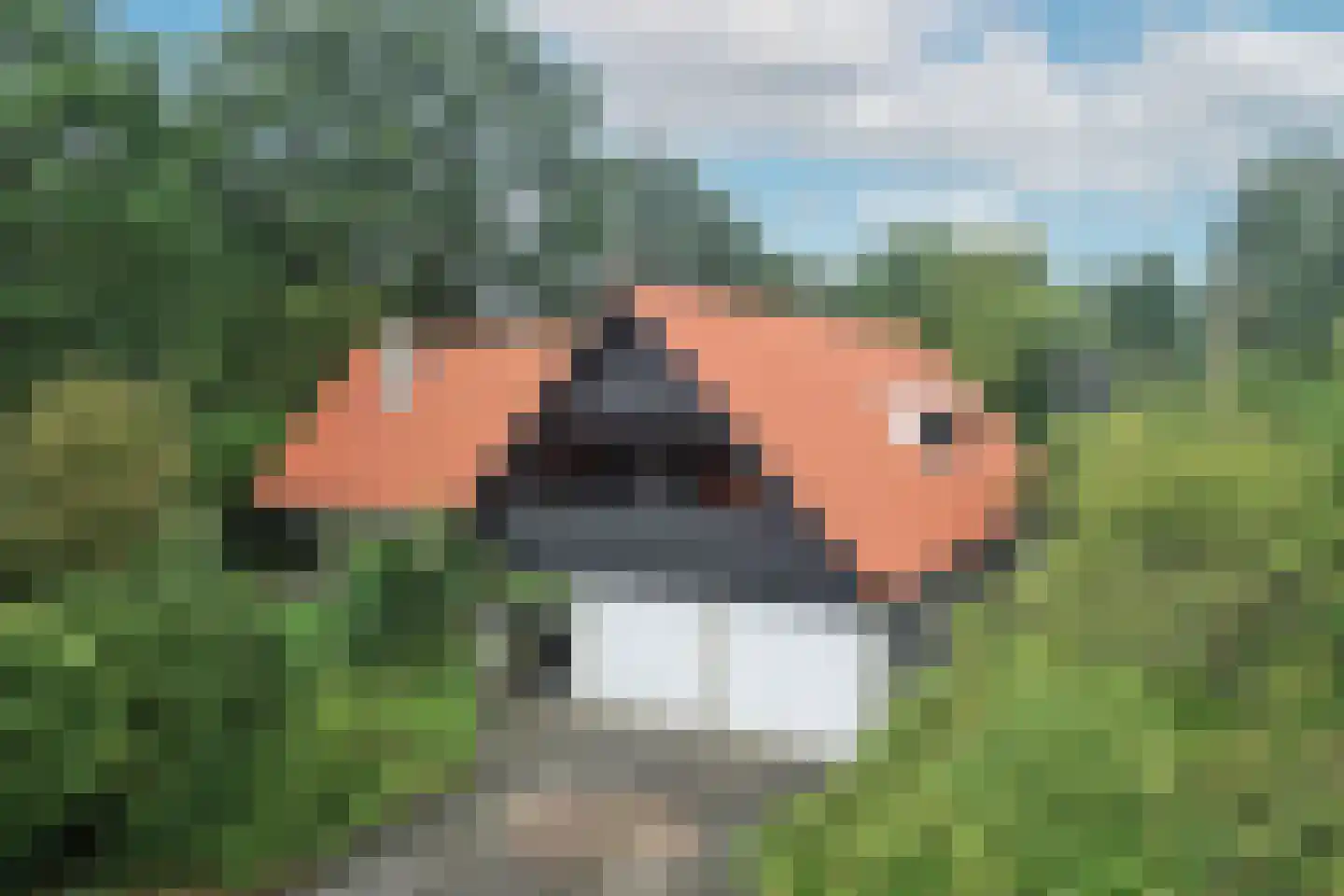 Kerkedennen 18 Borne thumbnail 47
