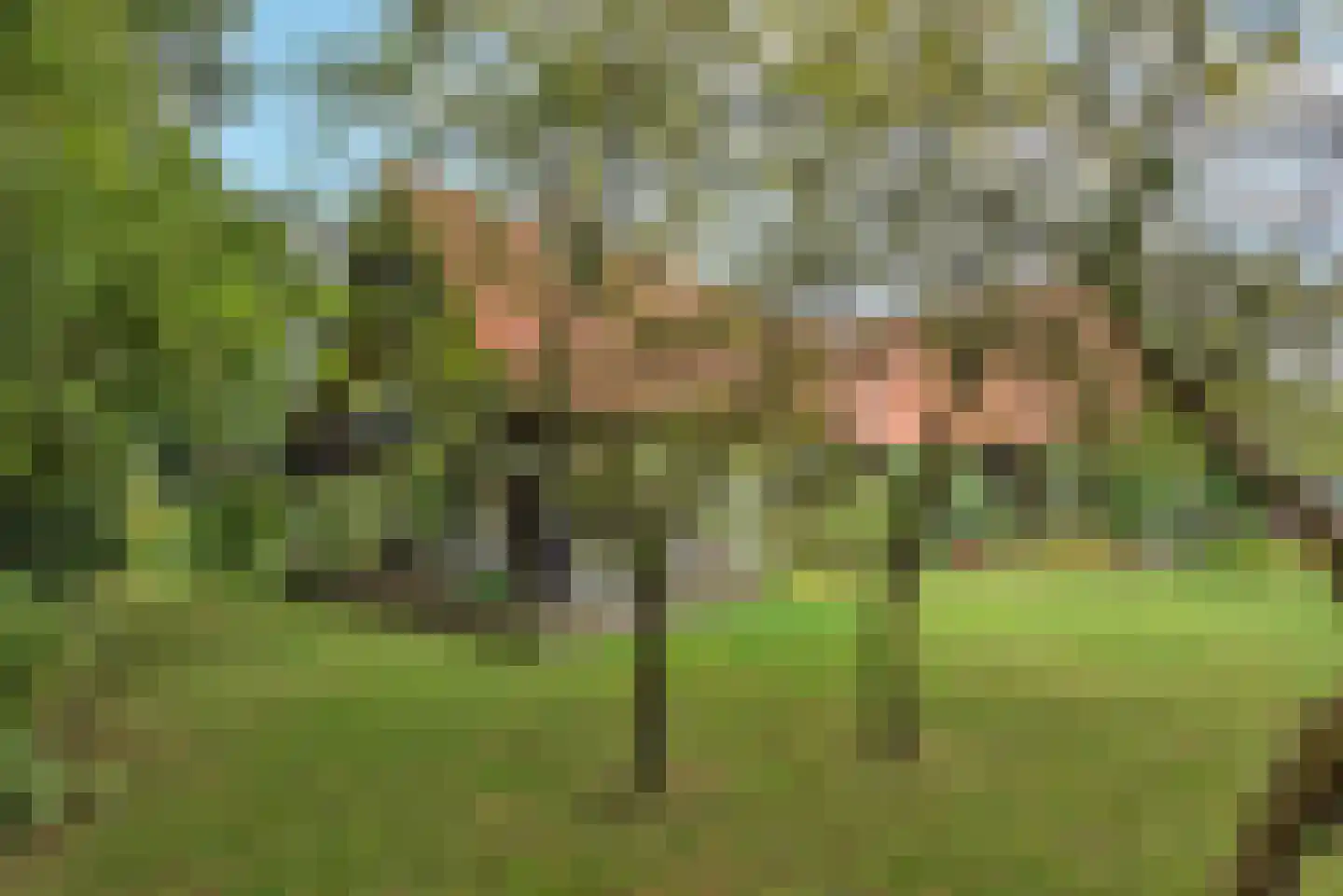 Kerkedennen 18 Borne thumbnail 49