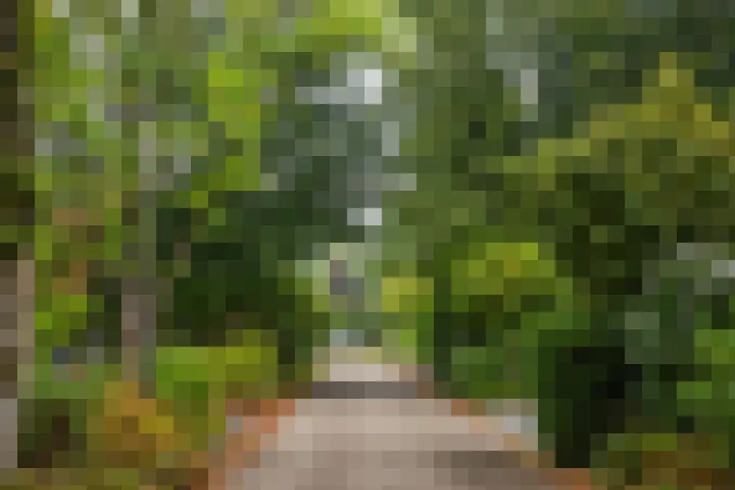 Kerkedennen 18 Borne thumbnail 50