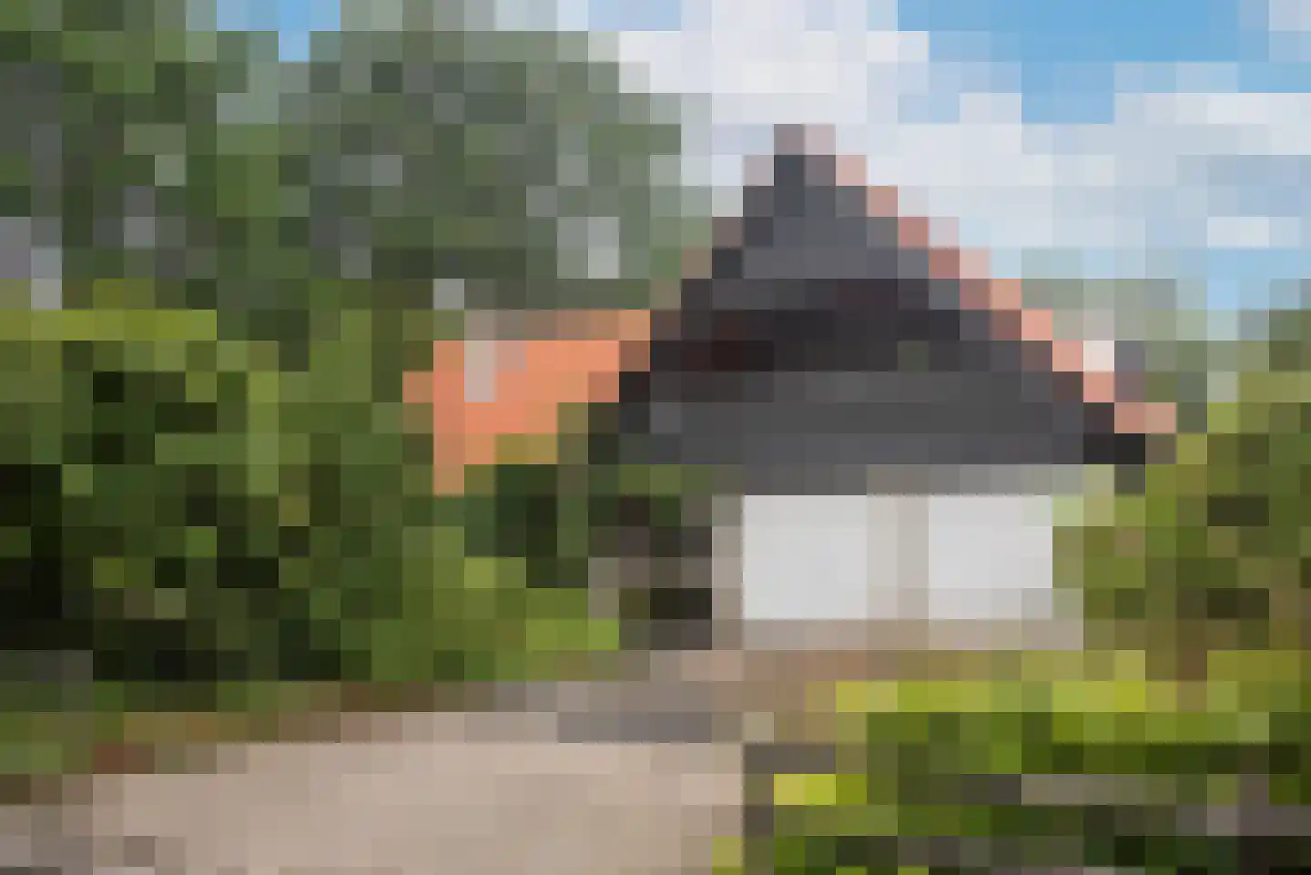 Kerkedennen 18 Borne thumbnail 6