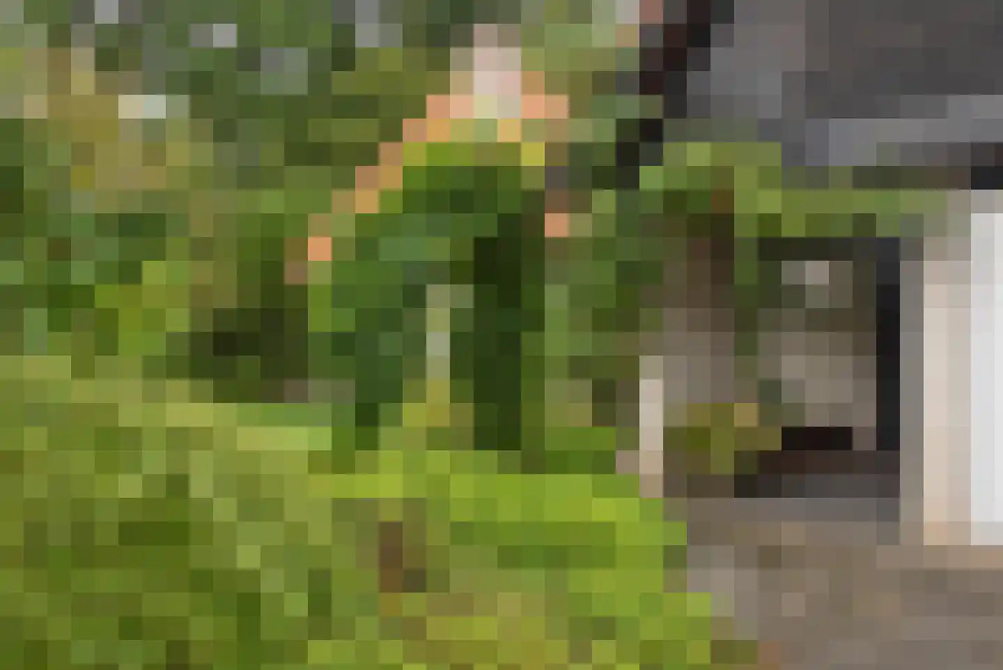 Kerkedennen 18 Borne thumbnail 7