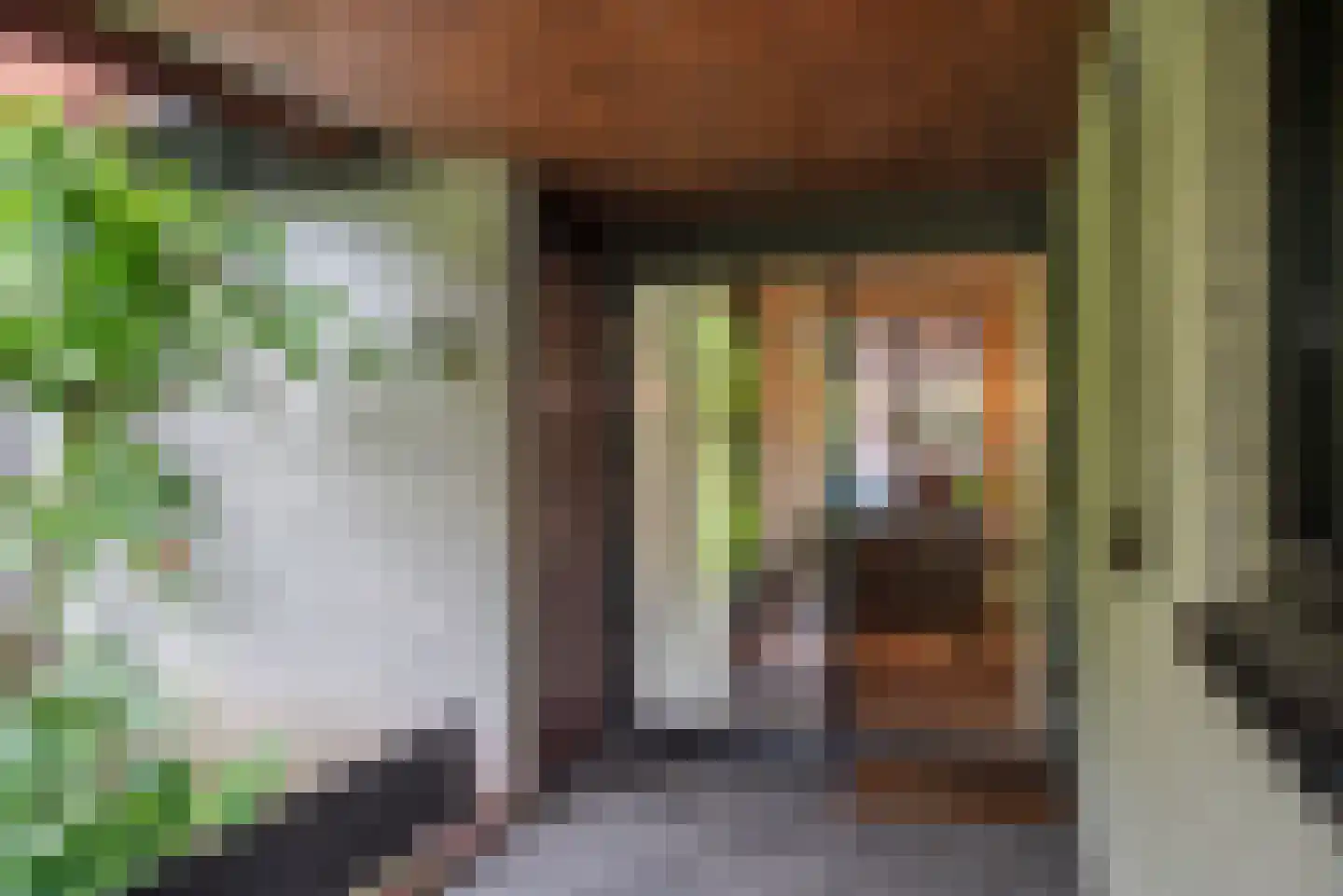 Kerkedennen 18 Borne thumbnail 8