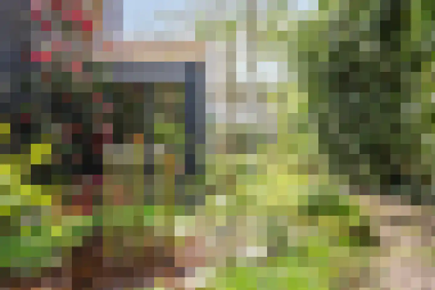 Kerkedennen 22 Borne thumbnail 100