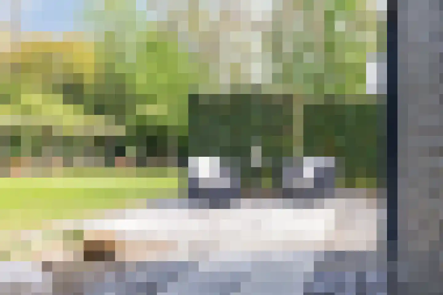 Kerkedennen 22 Borne thumbnail 101