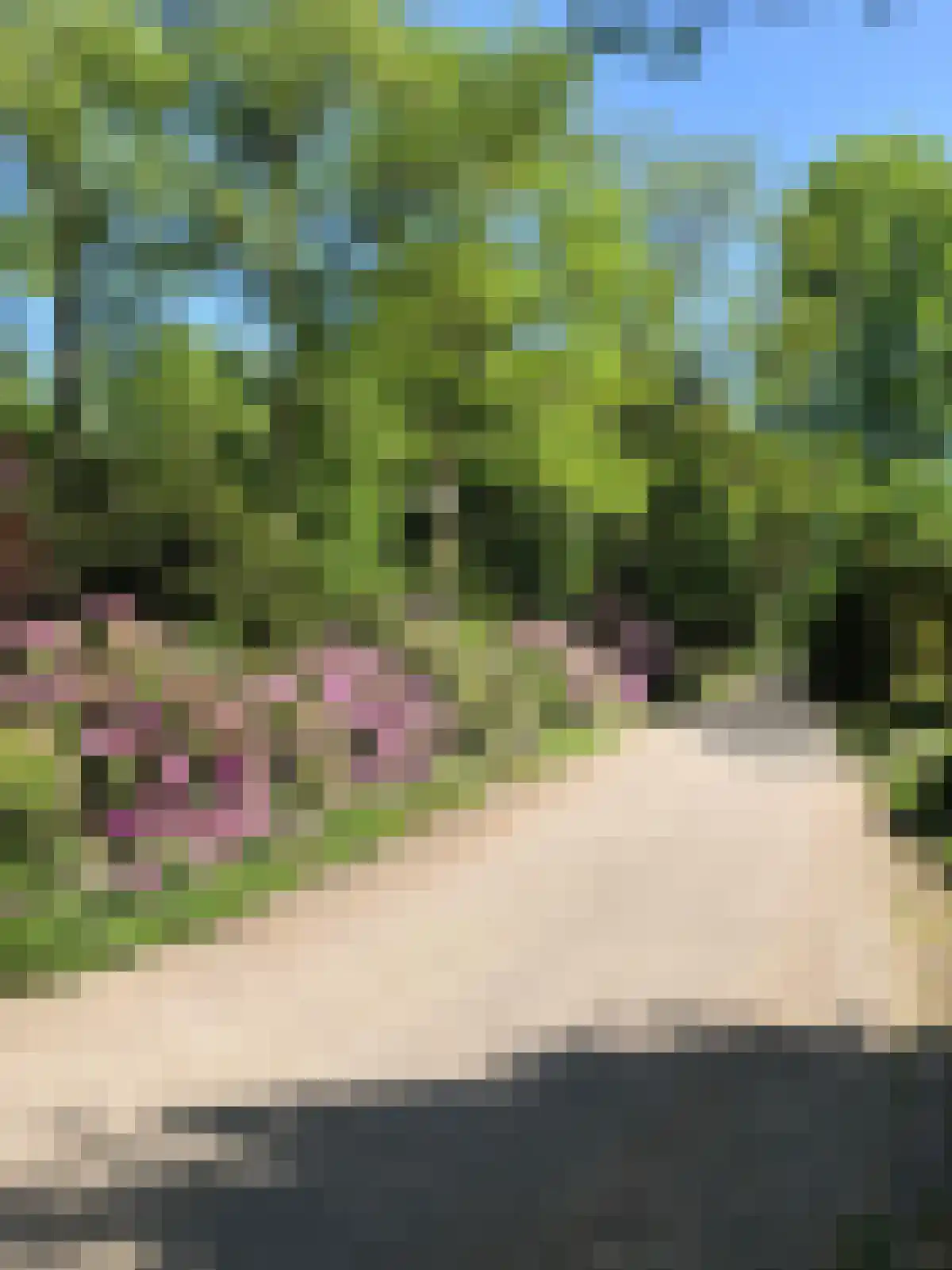 Kerkedennen 22 Borne thumbnail 106