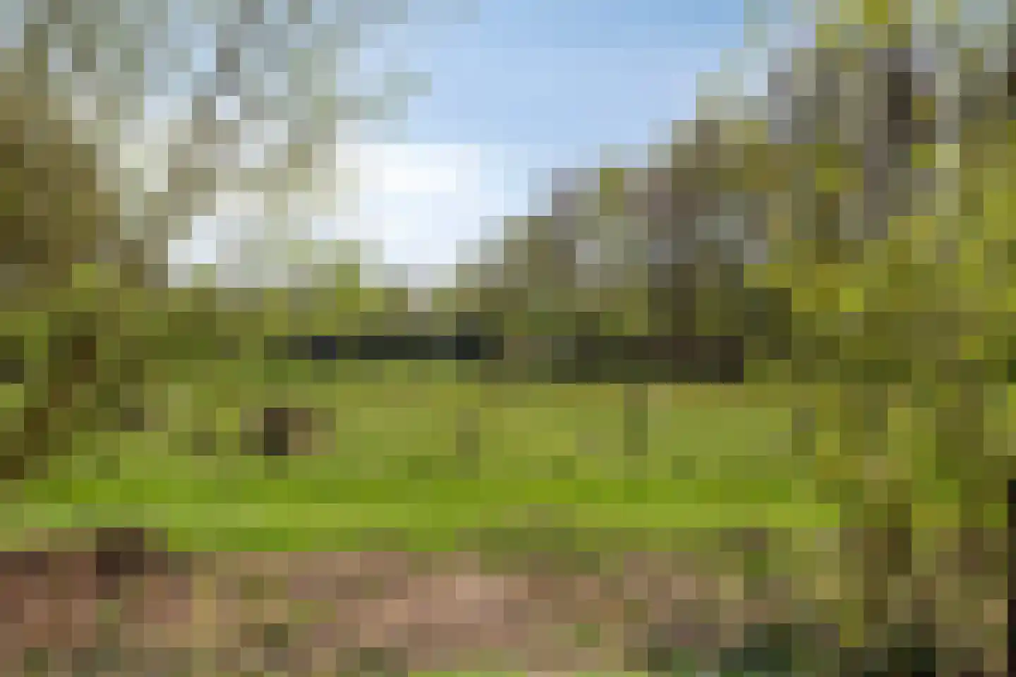Kerkedennen 22 Borne thumbnail 108