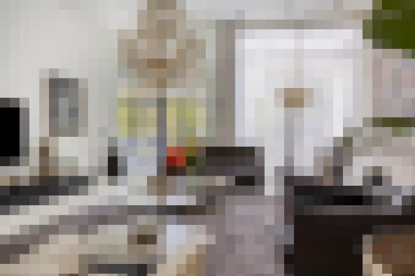 Kerkedennen 22 Borne thumbnail 27