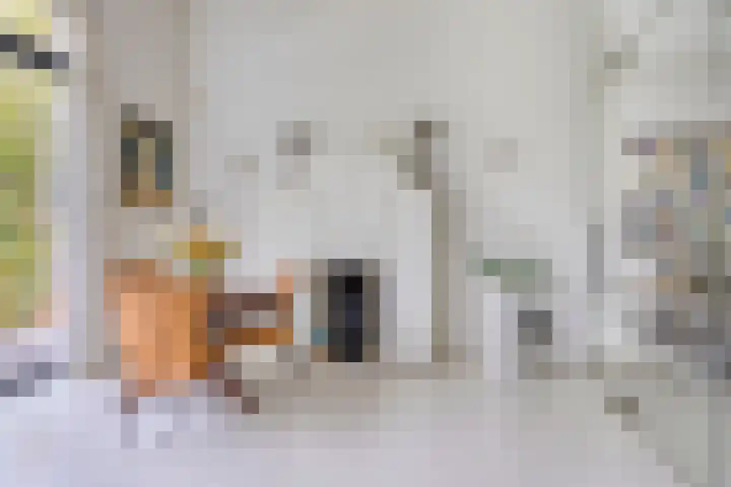 Kerkedennen 22 Borne thumbnail 30