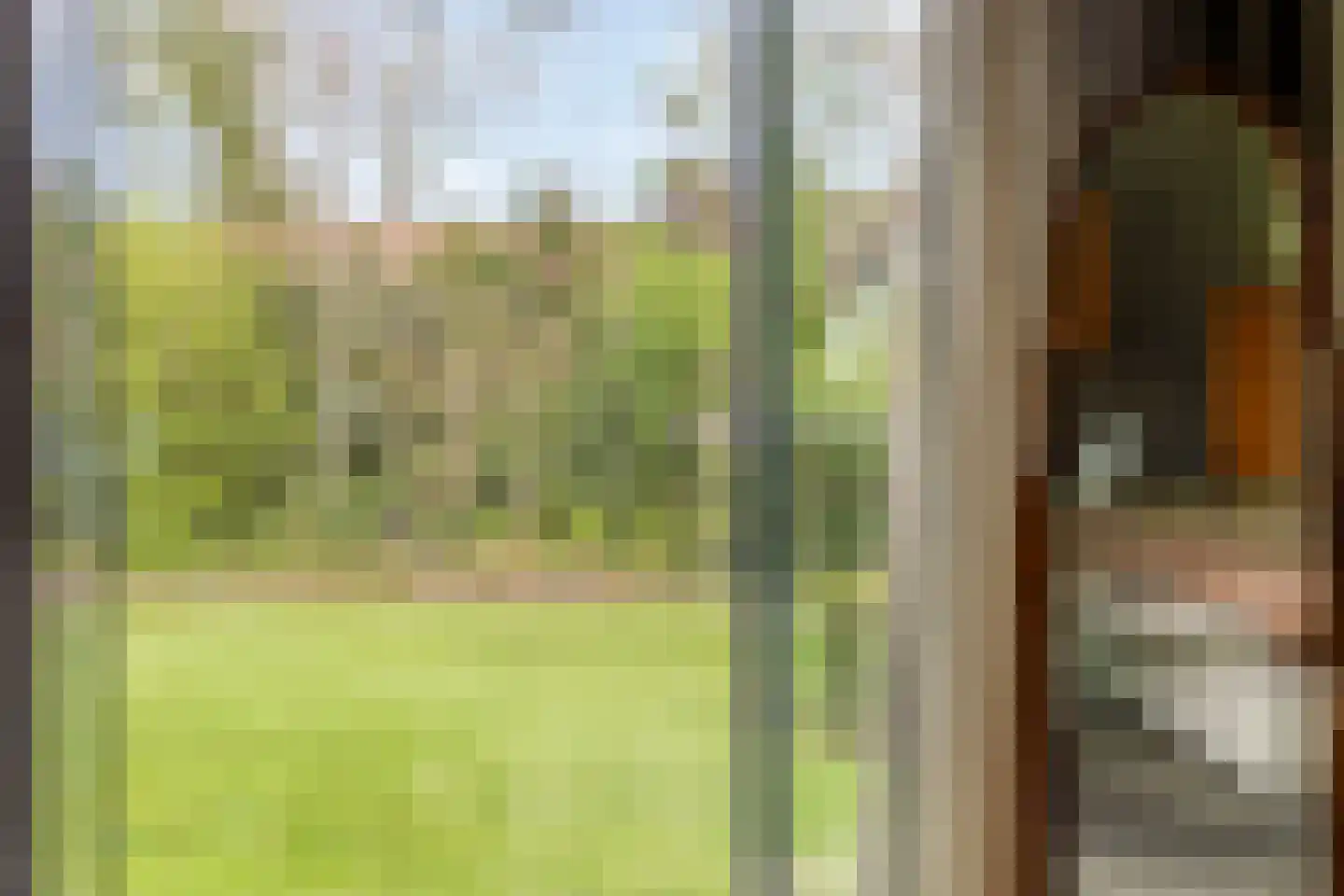 Kerkedennen 22 Borne thumbnail 43