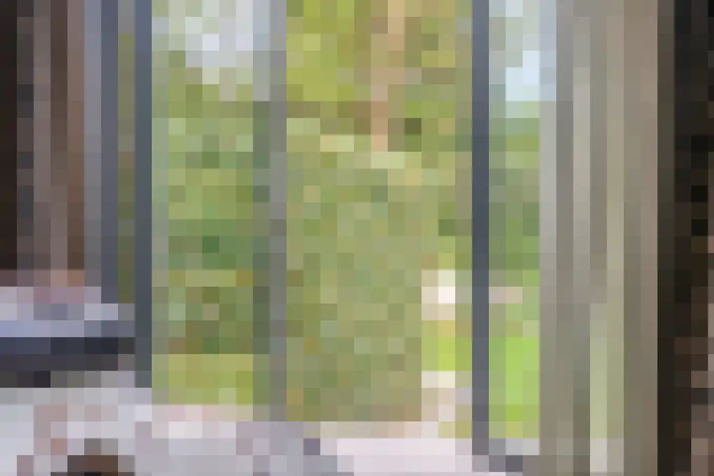 Kerkedennen 22 Borne thumbnail 44