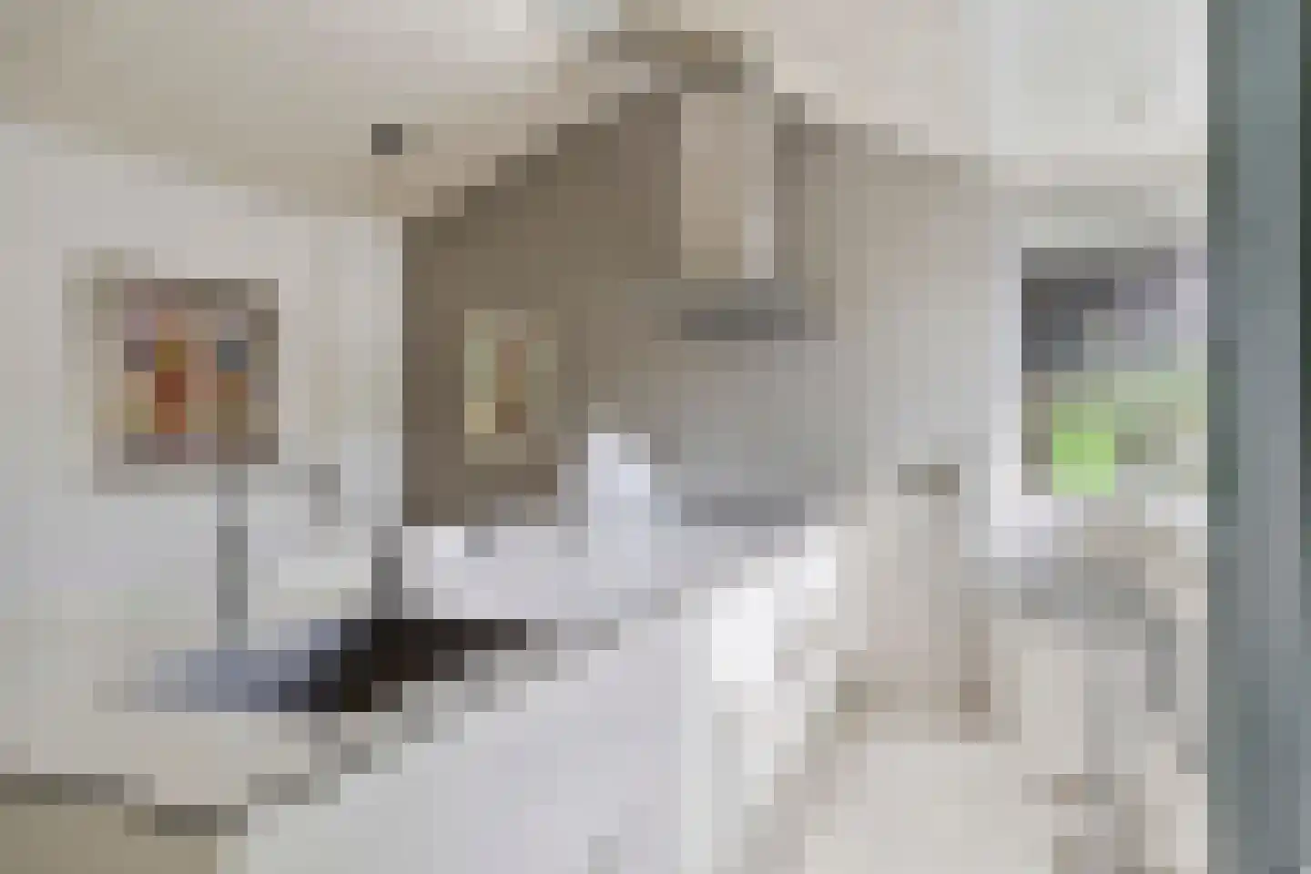 Kerkedennen 22 Borne thumbnail 60