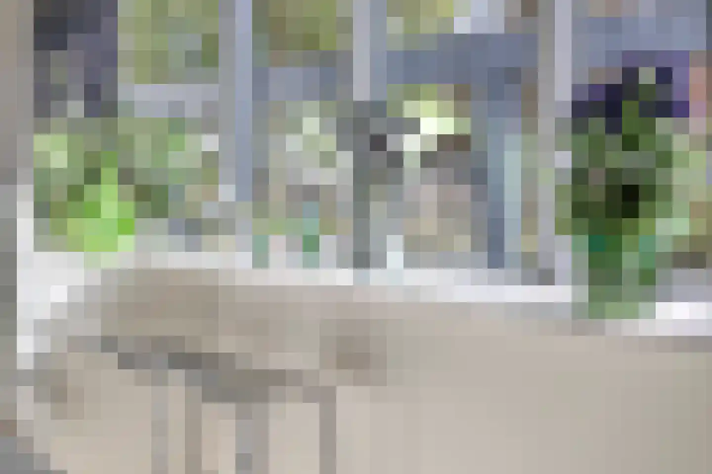 Kerkedennen 22 Borne thumbnail 63