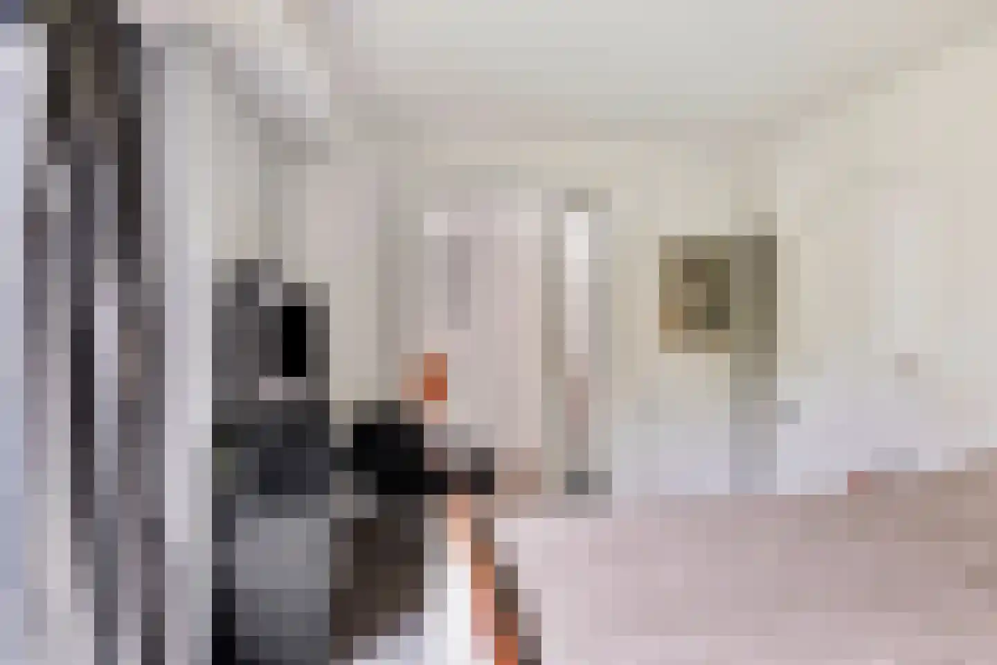 Kerkedennen 22 Borne thumbnail 68