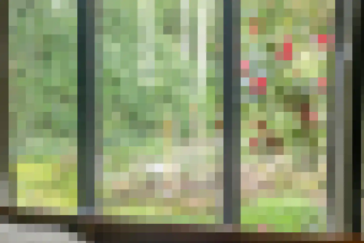 Kerkedennen 22 Borne thumbnail 69