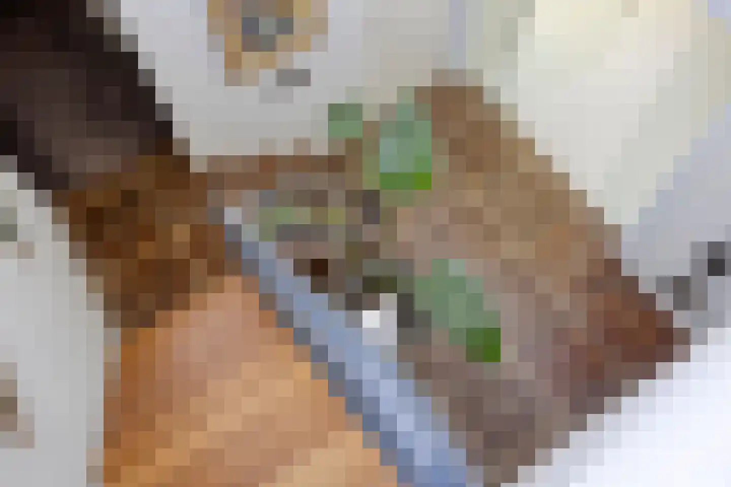 Kerkedennen 22 Borne thumbnail 85