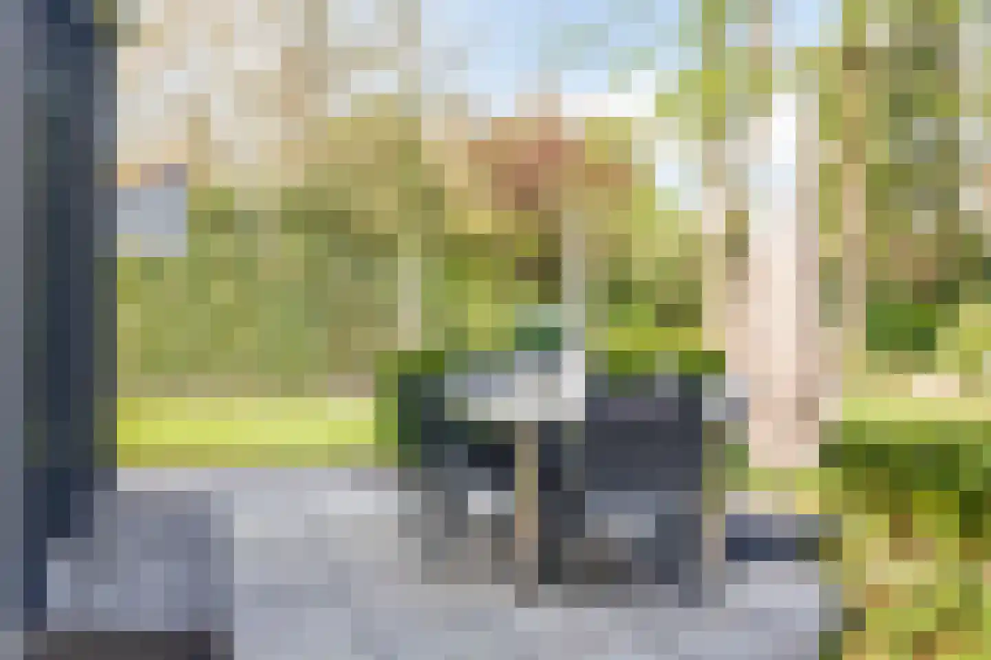 Kerkedennen 22 Borne thumbnail 91